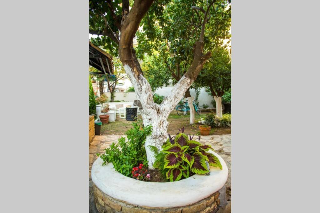 Villa Oasis Preveza Esterno foto